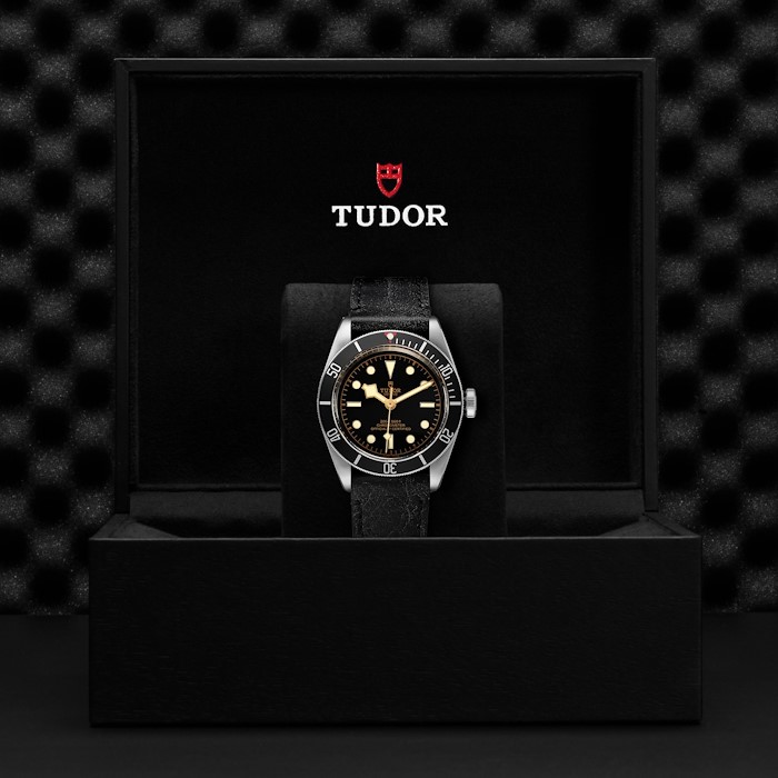 Tudor Black Bay